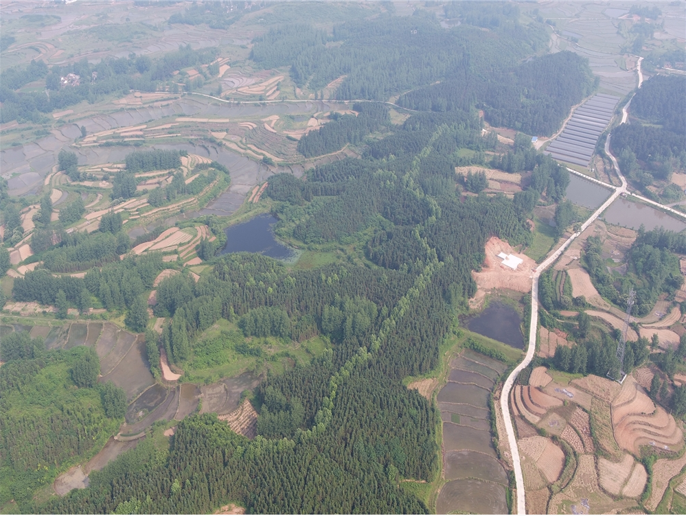 传统村落看河南 | 信阳市光山县泼陂河镇黄涂湾村龚冲村