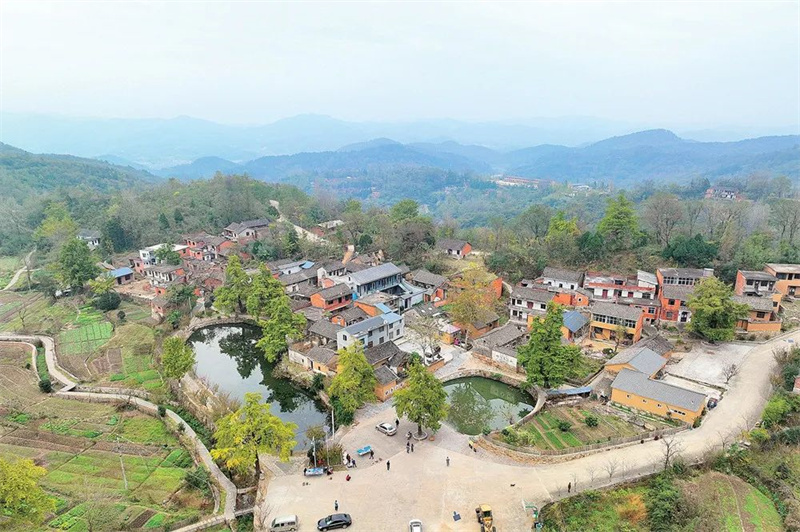 新县：银杏古村风景正盛