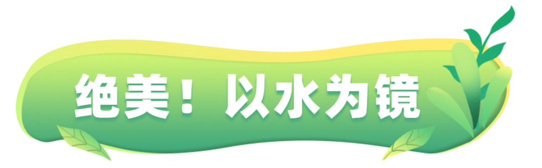 行走河南·读懂中国丨云台山 倒影中的秀水之美