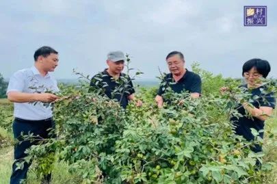 河南省水稻产业科技特派员服务团到省科技厅驻光山县罗陈乡周湾村帮扶点开展技术指导服务