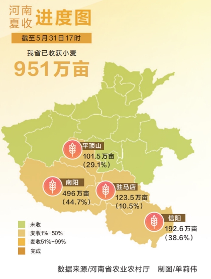全力以赴战“三夏”丨河南小麦迎来机收大会战