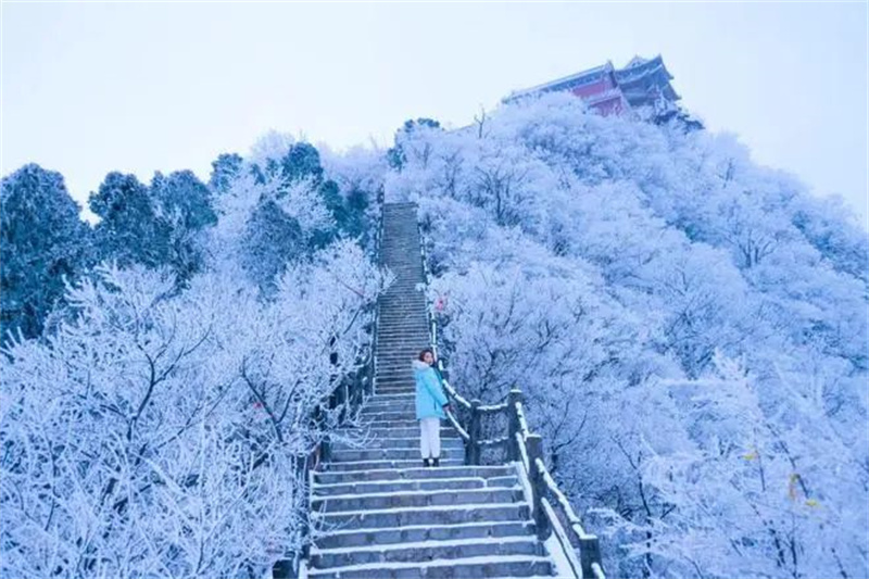 河南迎来冬季最美雾凇奇景