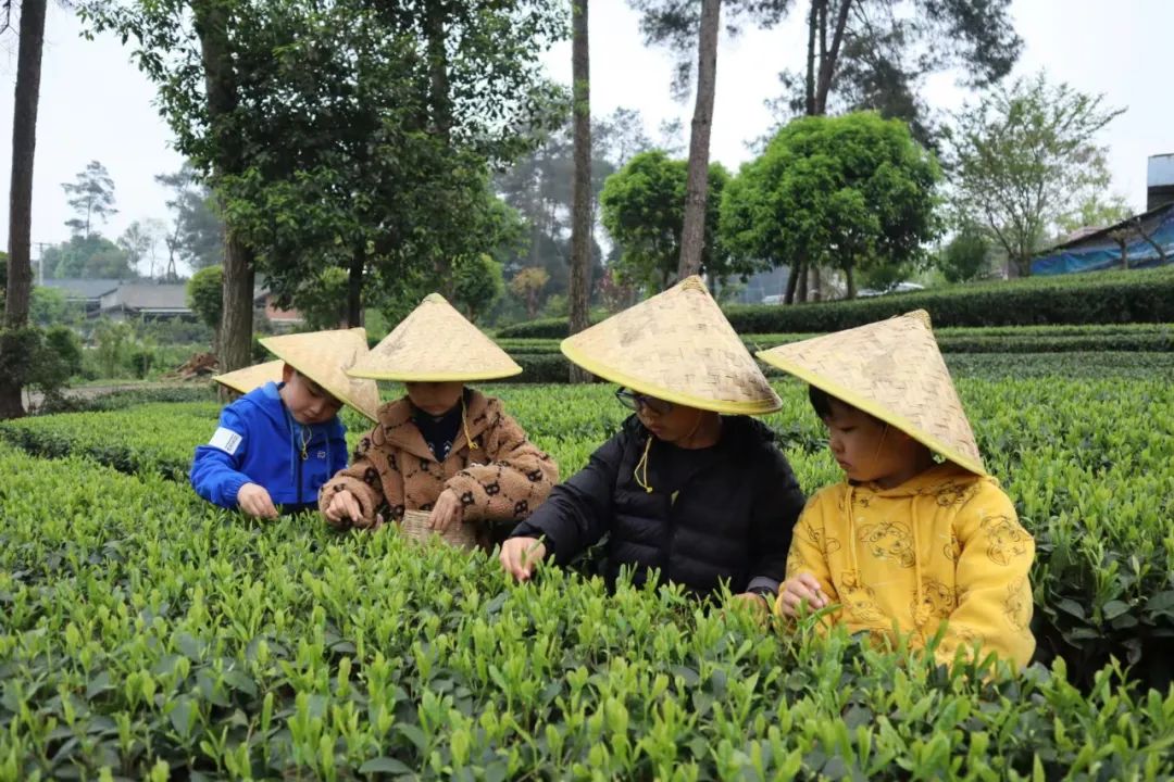 用好纾困政策 乡村民宿业者在困难中突围