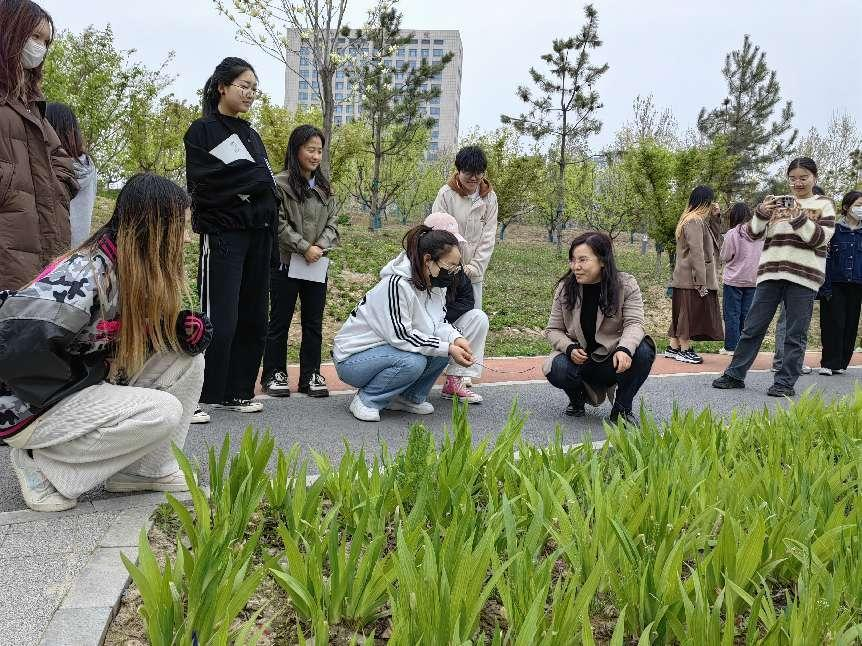 河南中医药大学外语学院英语专业教研室党支部举办中医药文化教育系列活动<br>——“寻味百草园——中草药辨识及中草药植物中英双语标识”特色党建活动