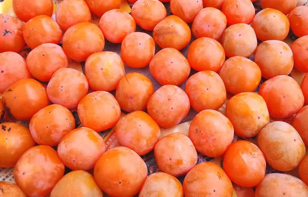 【行走河南·读懂中国】洛阳秋日限定美食请收藏