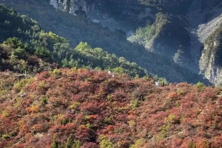 当秋日“美拉德”遇见古都安阳