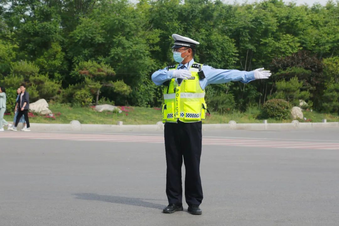 行走河南·读懂中国丨