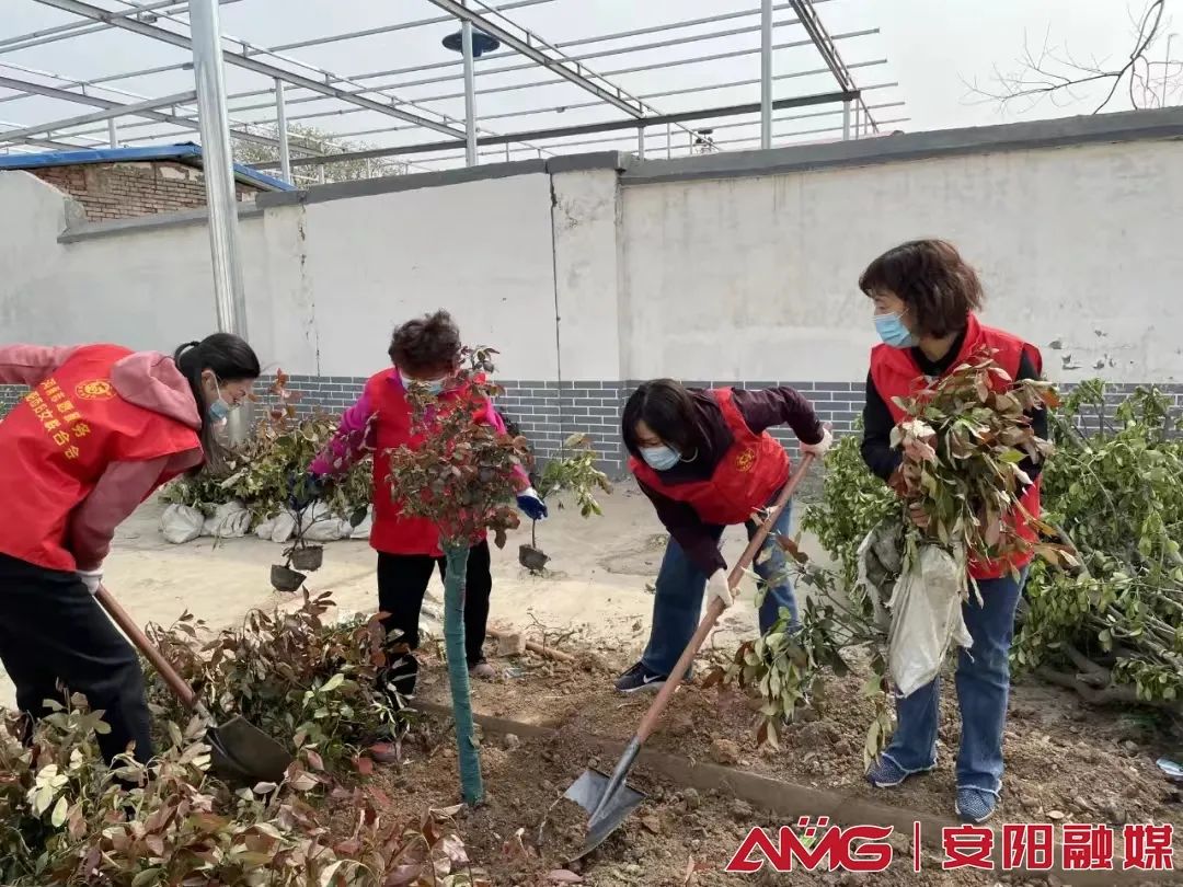 安阳：“百家市直单位包百村”推进农村人居环境整治提升成效初显