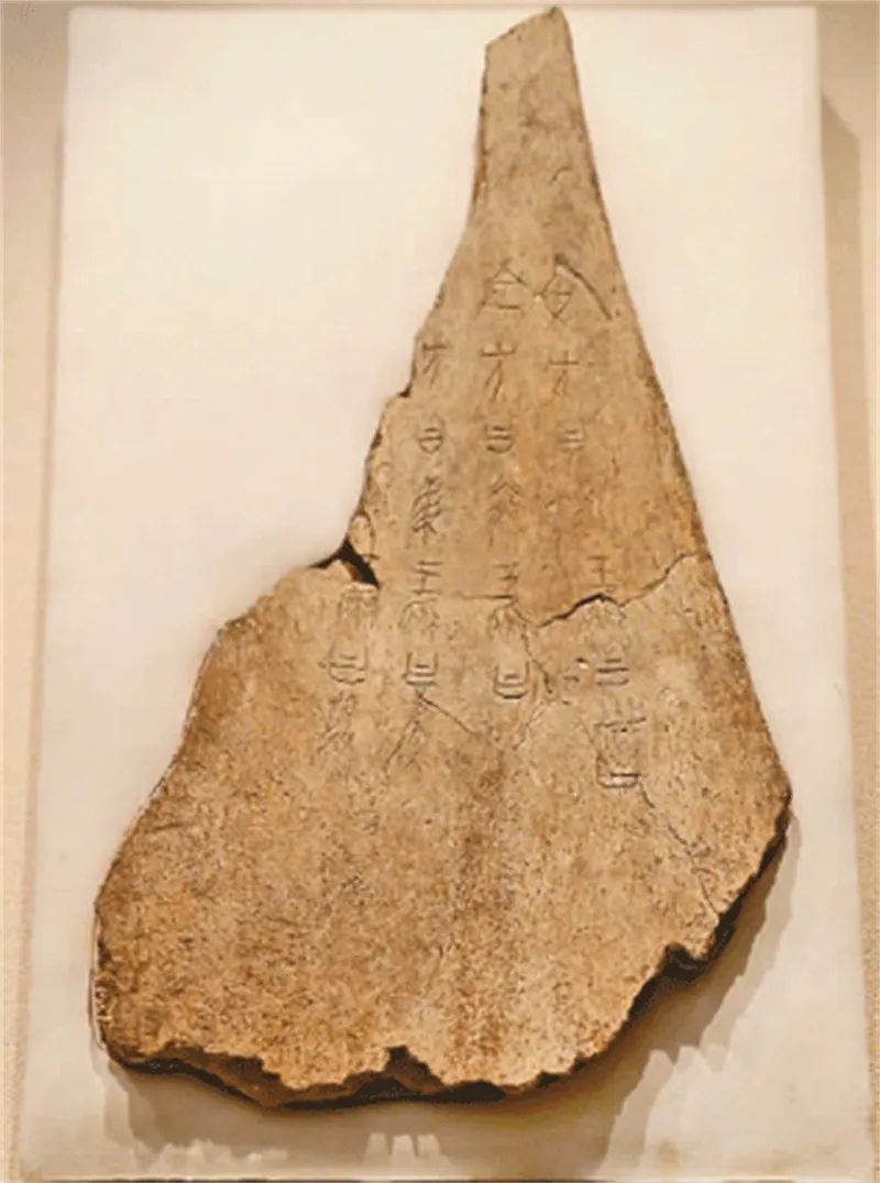 殷墟文化｜“在怡情养志中焕发时代价值”——甲骨文献的活化利用记叙
