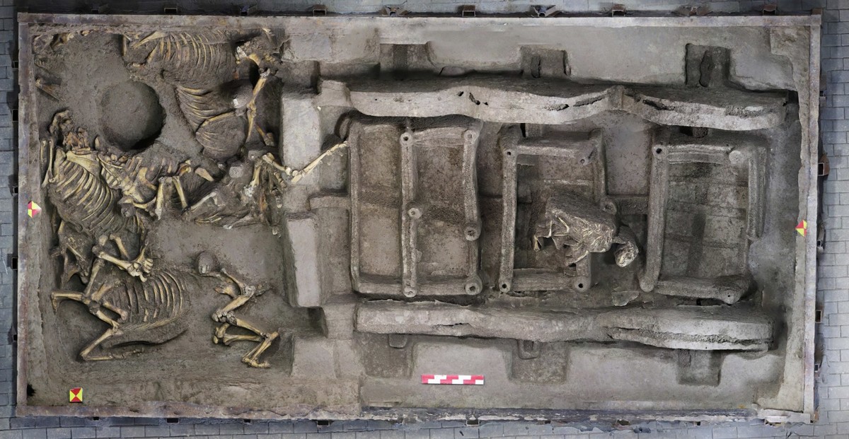 文明探源 出彩中原丨徐阳墓地发现8马3车 <br>在河洛地区为首次发现