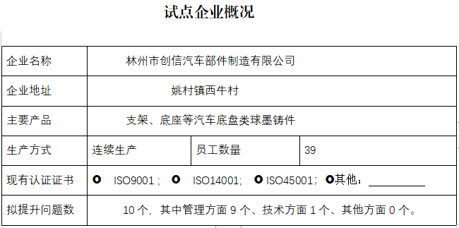 林州市创信汽车部件制造有限公司