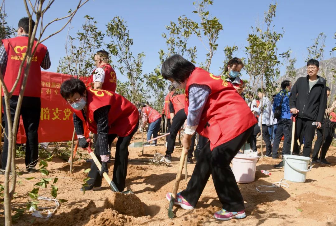 河南省市场监管局组织开展春季义务植树暨<br>“关爱他人、关爱社会、关爱自然”主题党日活动