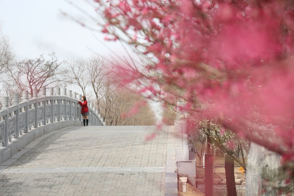 央媒看河南丨生态保遗“扮靓”郑州文化气质 央媒看河南丨生态保遗“扮靓”郑州文化气质