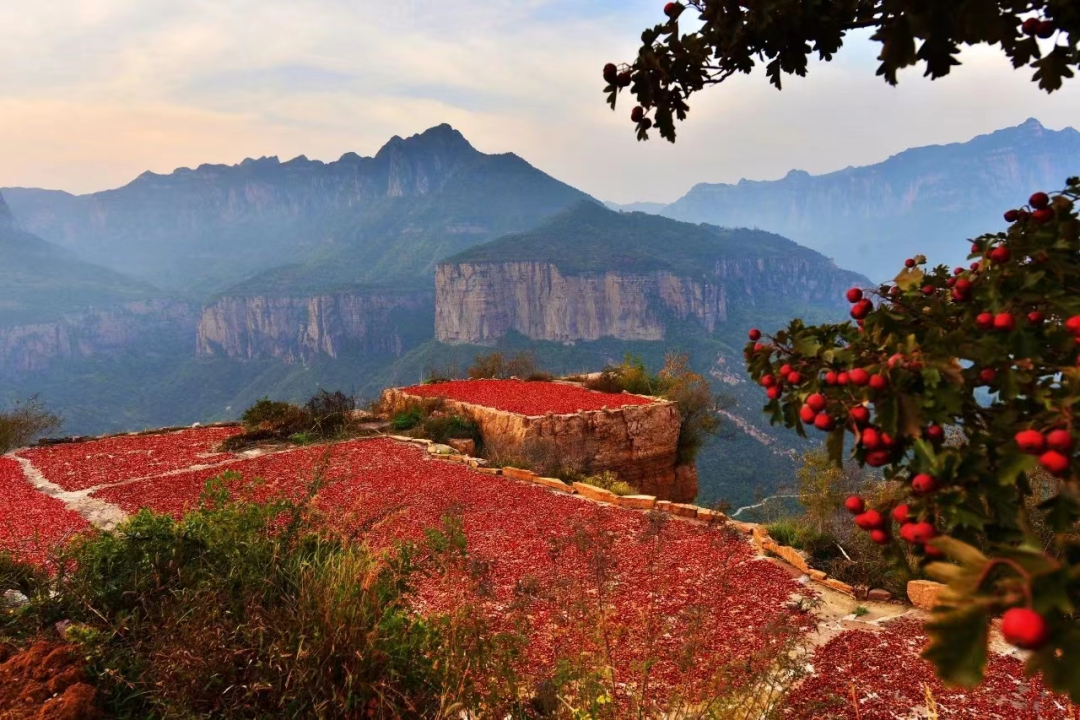秋游新乡，看漫山红遍层林尽染