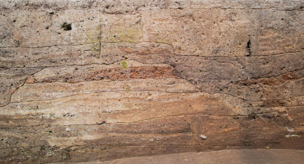 苏羊遗址发现6000年前防御性环壕