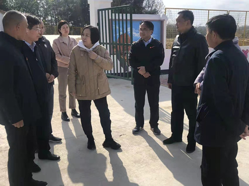 省住房城乡建设厅党组成员张秀梅<br>赴商城县田湾走访调研