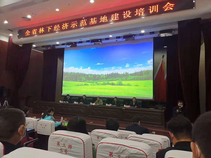 微信图片_20201113150549.jpg