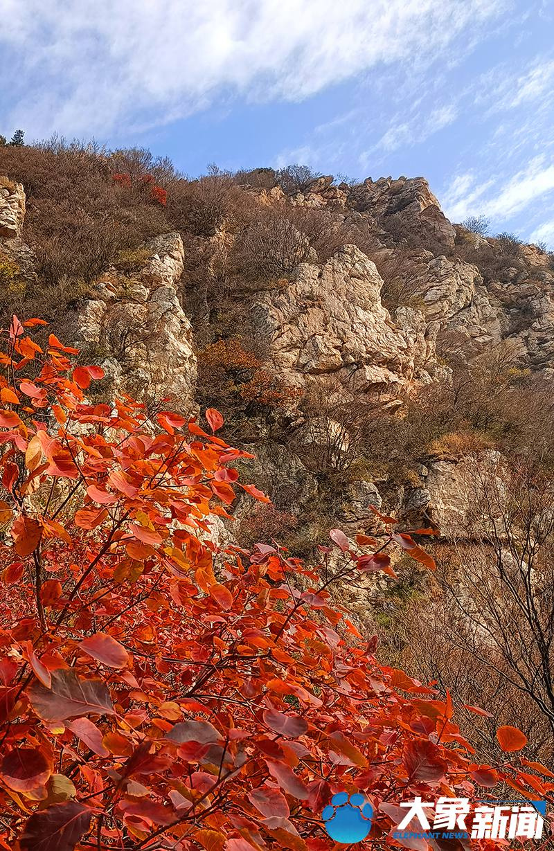 【行走河南·读懂中国】<br>嵩山：漫山红叶正当时 屏赏万里醉人秋色