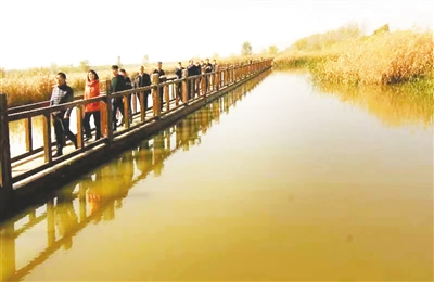 行走河南·读懂中国 | 新乡：大美湿地 在水一方