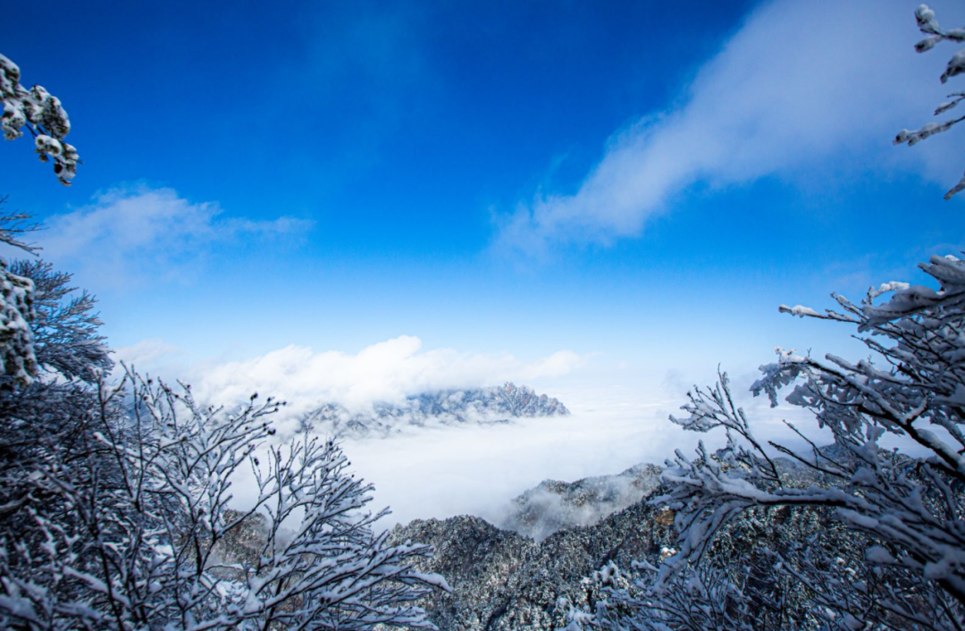 白云山：冬已至，雪入怀