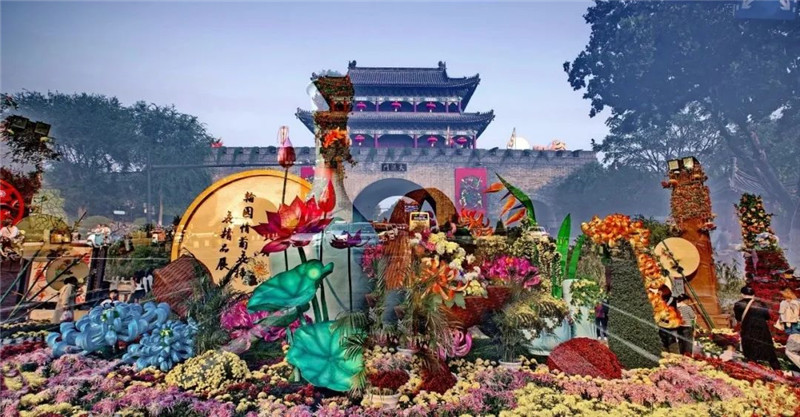 开封举办“风华正茂·菊映古城”摄影作品线上展