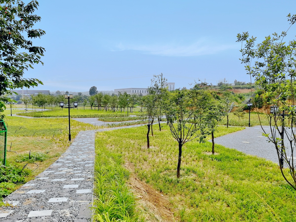 新密李家沟遗址生态文化公园