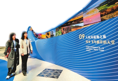 借黄河之力 谱发展新篇