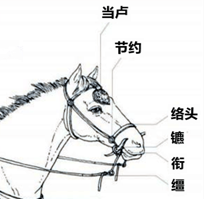 文博河南丨这件青铜手持小电扇，西周“科目一”必考