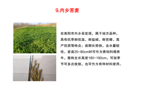 2021年度河南省农作物种质资源普查与收集十大重要成果评选结果揭晓 2021年度河南省农作物种质资源普查与收集十大重要成果评选结果揭晓