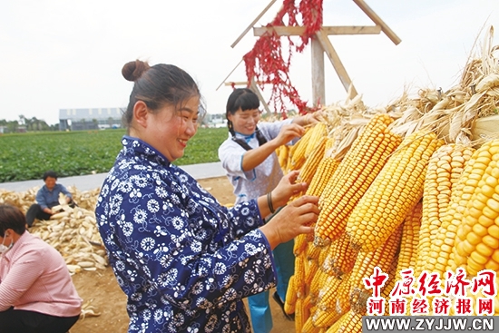 金秋九月 “丰”景如画