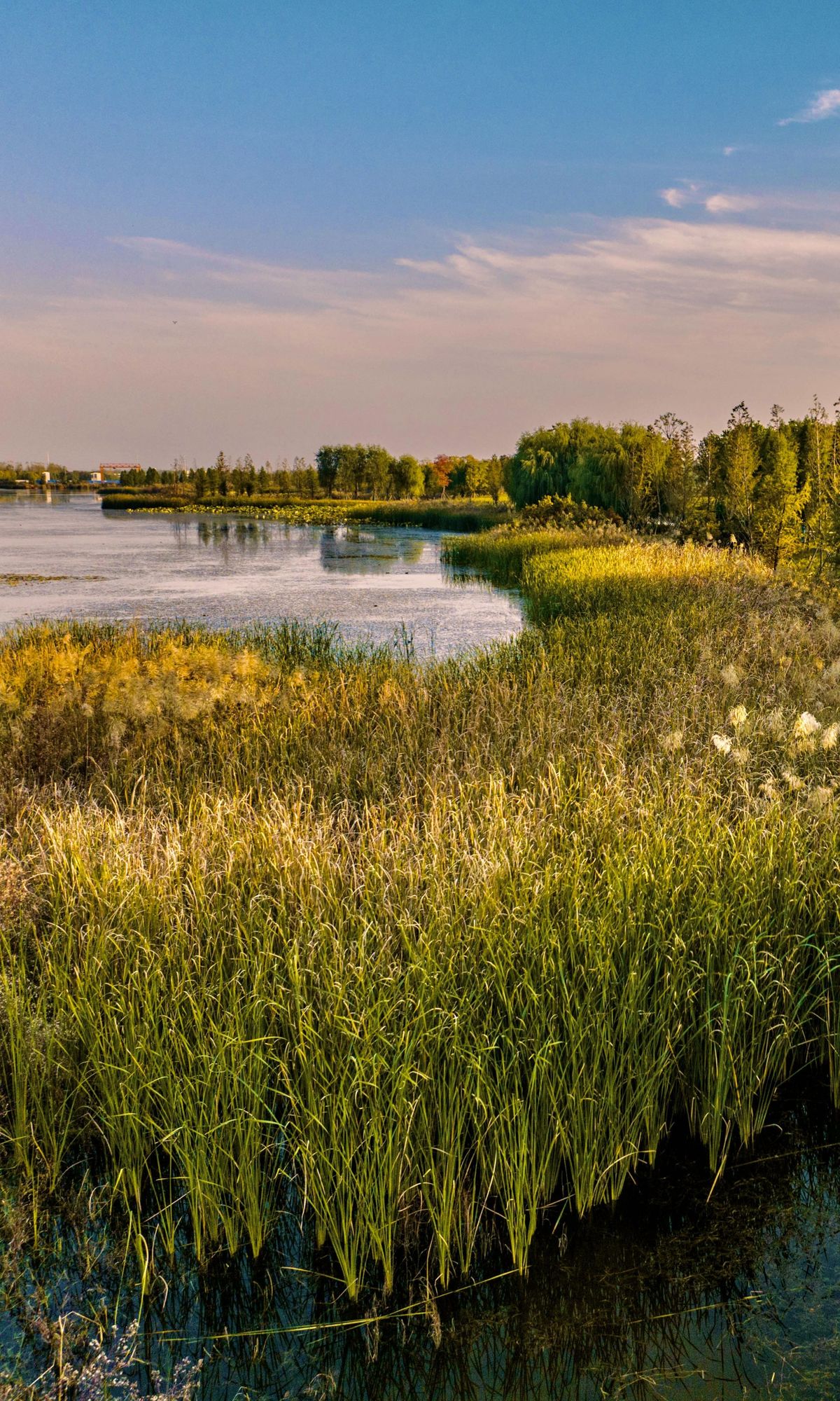 中牟:秋色如诗 秋景如画 - 河南省文化和旅游厅