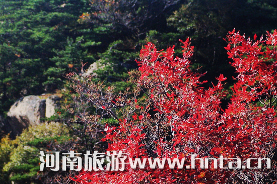 灵宝汉山景区
