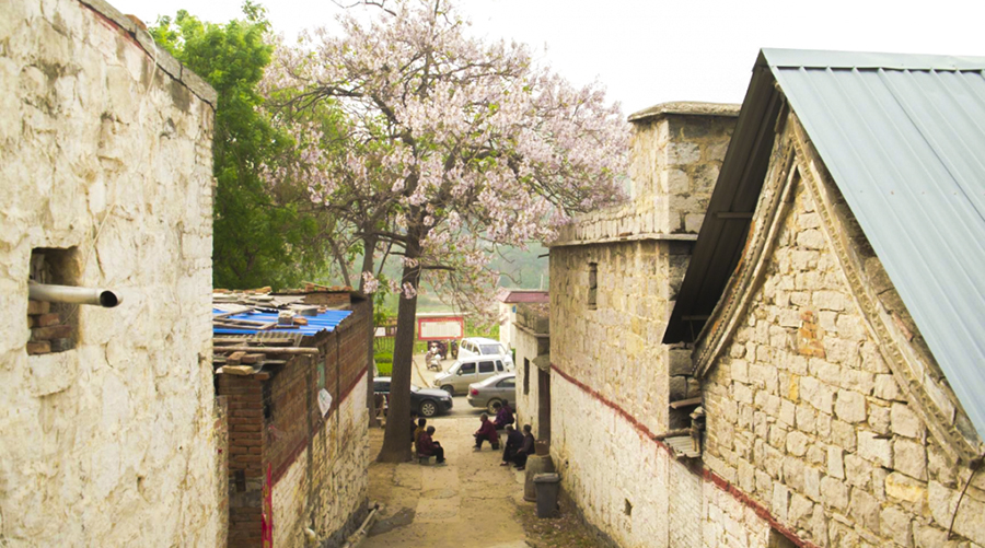 河南“90后”小伙墙上画画带火全村，助力乡村文旅振兴