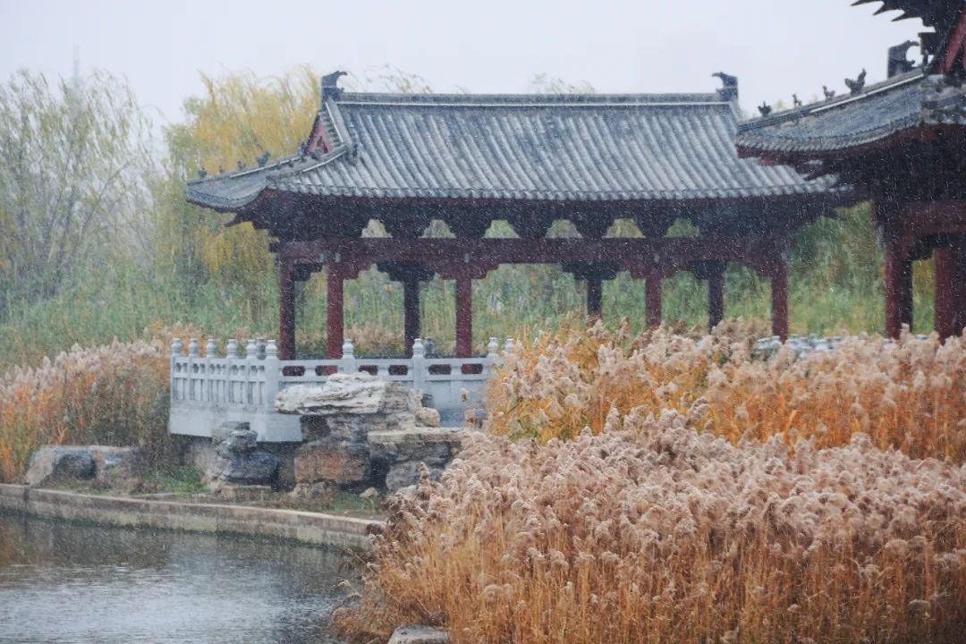 行走河南·读懂中国丨初冬开封美如画