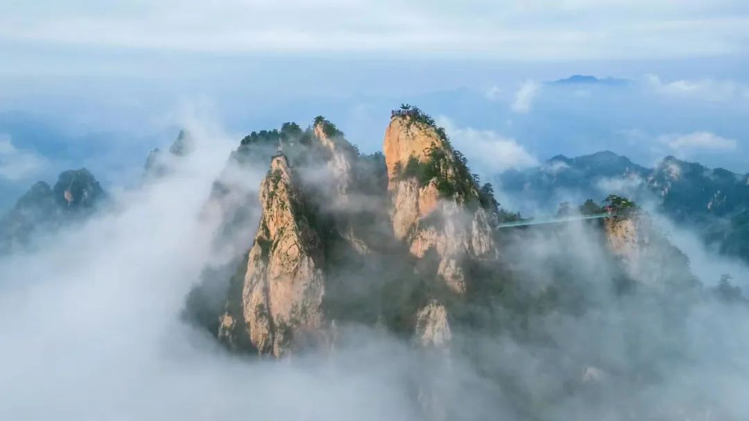 行走河南·读懂中国 | 南阳老界岭景区对全国青少年免门票