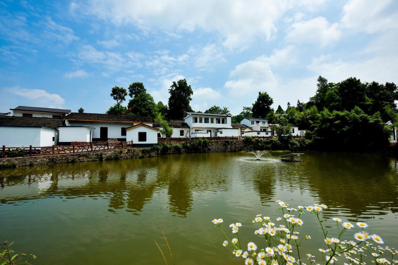 河南乡村美景图片