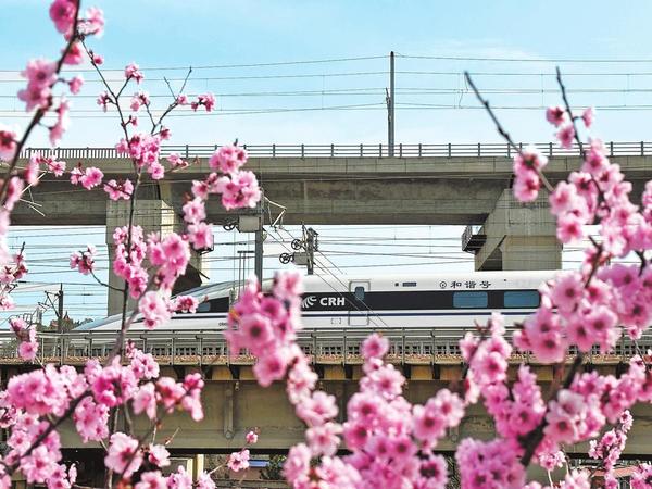 Blooming Flowers Meet a High-speed Train
