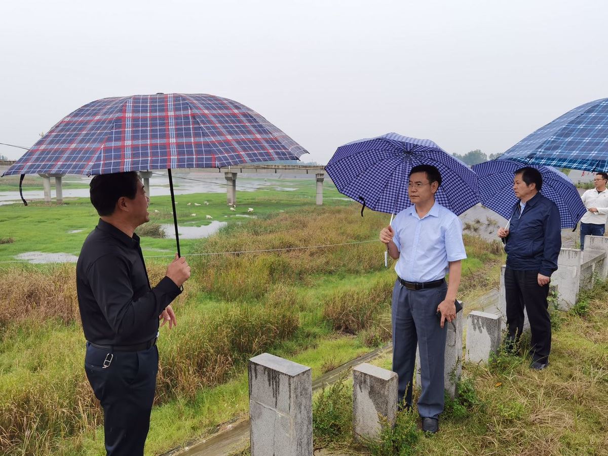 雷生云到方城县开展巡河调研