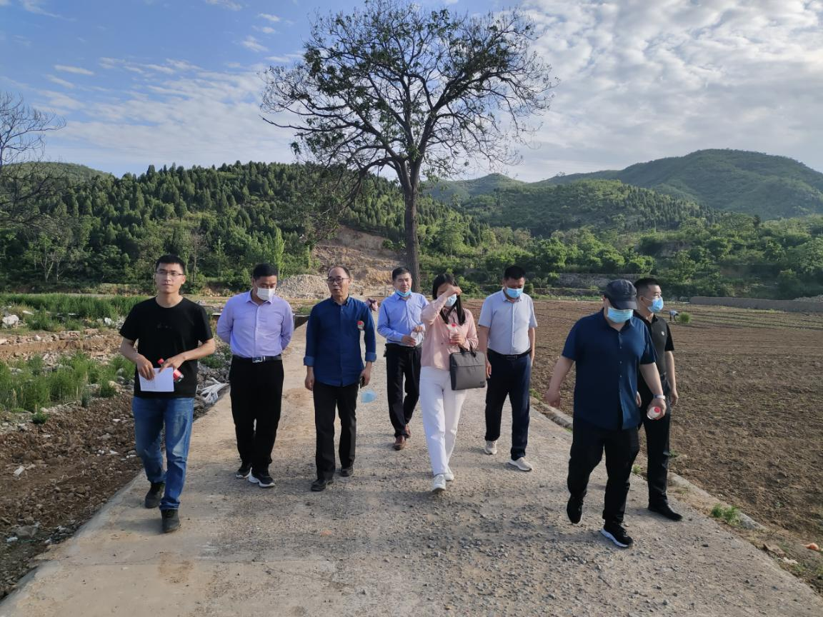 省水利厅调研鹤壁市2022年防汛保安专项执法行动开展情况