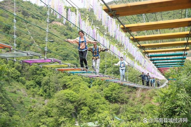 河南卢氏：文化+产业+旅游三足鼎定乡村振兴路