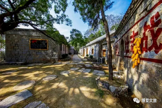 博爱推出6条红叶主题精品线路