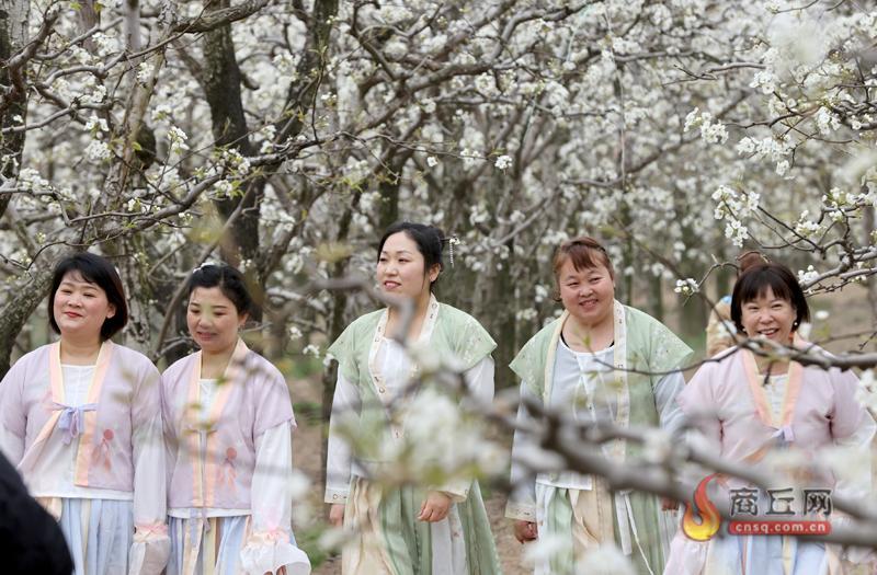 中国·宁陵第二十届梨花节开幕