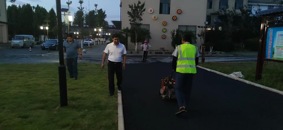 罗山县移民安置服务中心与“支部联支部”袁冲村共同推动人居环境整治