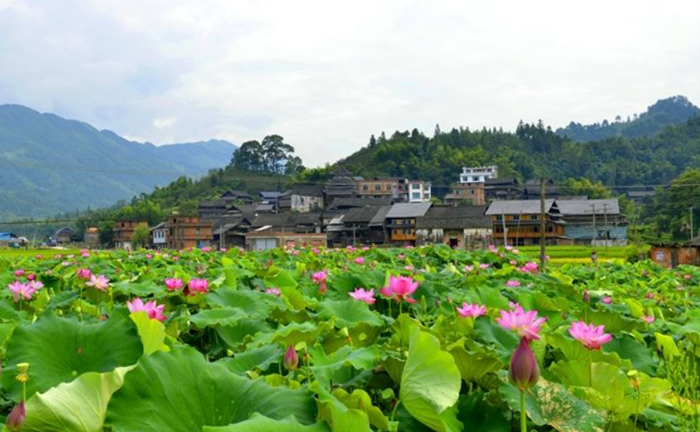 南召县住建局党组书记 李伟：唱响“一二三四”工作法 绘就宜居乡村新画卷