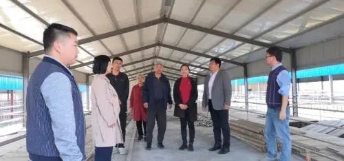 河南省肉牛产业科技特派员服务团到省科技厅驻村帮扶点开展技术培训服务