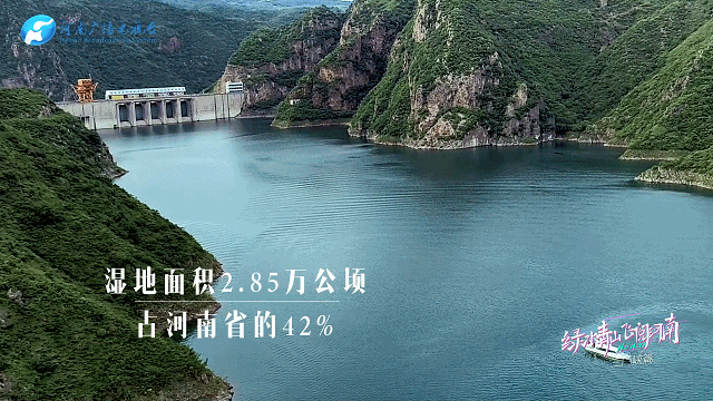 【行走河南·读懂中国】九曲黄河浪淘沙 天鹅蹁跹三门峡