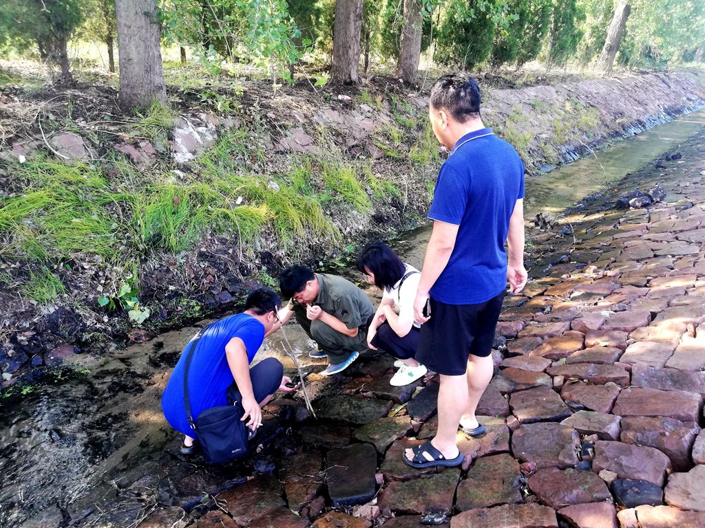 豫水青年 遇险而上（三）