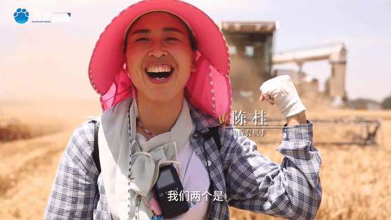 听，风吹麦浪！看，中原大地颗粒归仓！