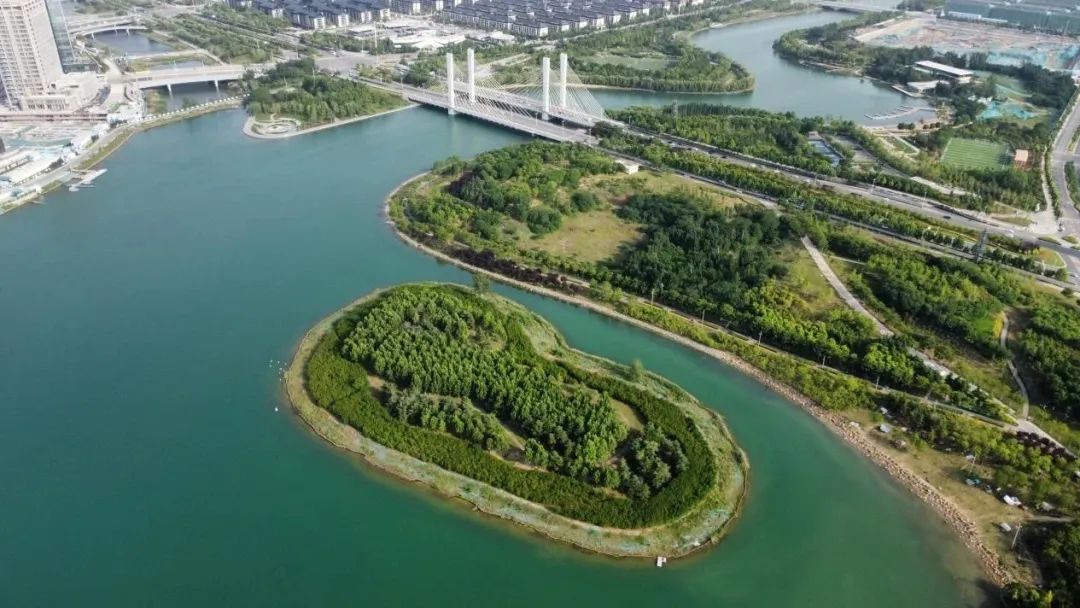 行走河南·读懂中国丨北龙湖的夏天 美成一道风景线