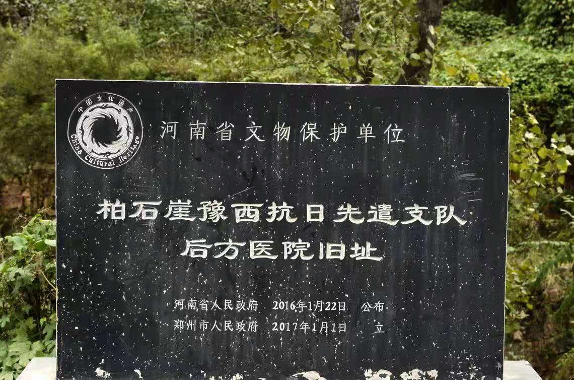 中岳狂飙 征战豫西
